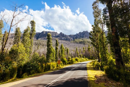 The picturesque Gordon River Rd and the Needles mountain range near Florentine on a hot summer's afternoon in Southwest National Park, Tasmania, Australia