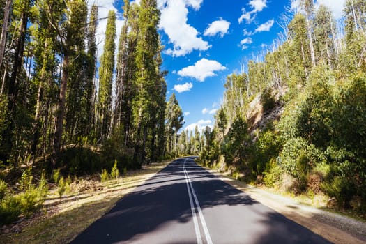 The picturesque Gordon River Rd and the Needles mountain range near Florentine on a hot summer's afternoon in Southwest National Park, Tasmania, Australia