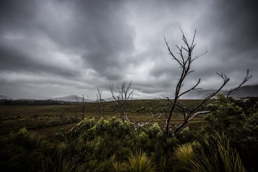 The picturesque Gordon River Rd at the Sentinel range of mountains near Bitumen Bones Sculpture on a cool wet summer's morning in Southwest National Park, Tasmania, Australia