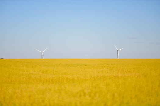 Windmills near the field of flax Normandy, France