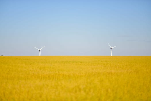 Windmills near the field of flax Normandy, France
