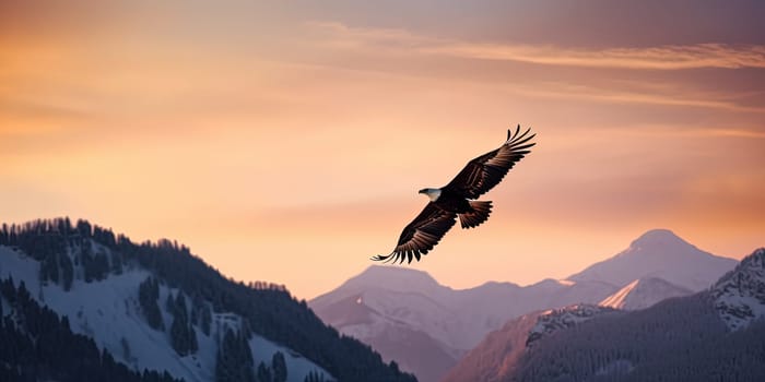 Big White Eagle soars in the sky against snowy Mountains range at sunset, generative AI
