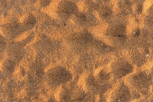 Yellow lumpy sand background on the beach in side sunset light. Rich Image.