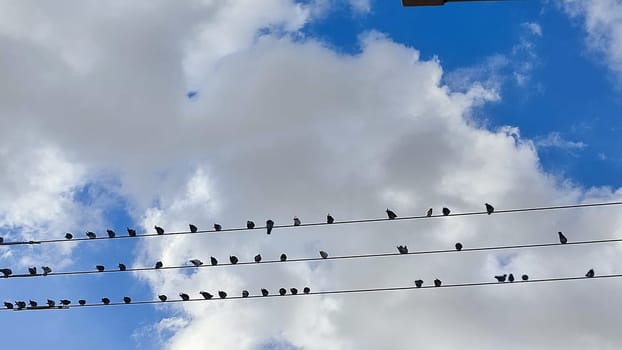 Blue light sky nature white clouds whether background . High quality photo