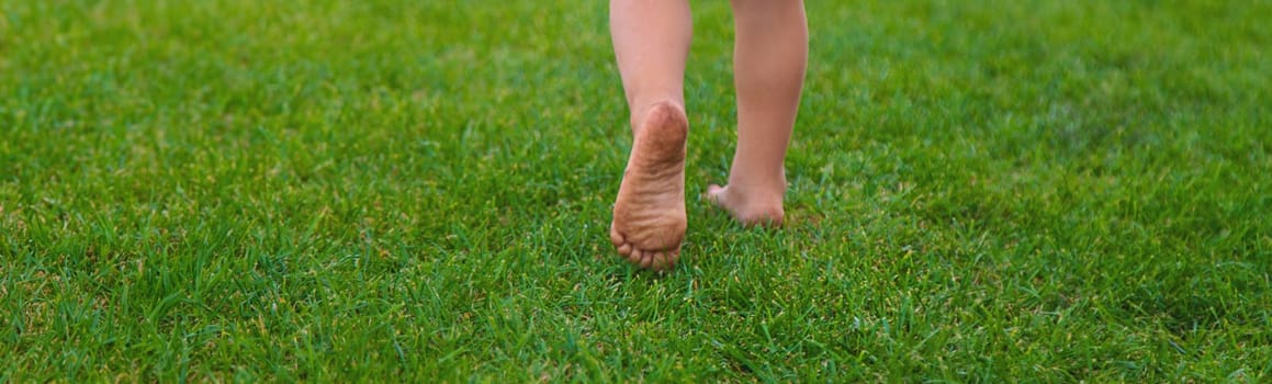 Child feet on the grass. Selective focus. Kid.