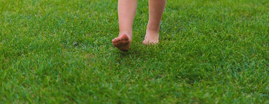 Child feet on the grass. Selective focus. Kid.