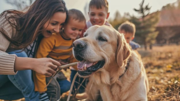 playful dog and its owner in nature outdoor , healthy lifestyle pragma