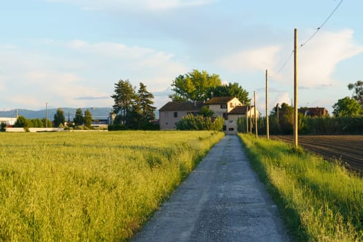 A dirt road cutting through a vast green field under a bright blue sky.