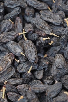 black raisin on white background, close up