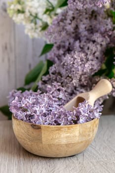 Wooden Bowl with wooden spoon of fresh purple lilac petals with branch of blooming lilac. Lilac flowers fragrance. Concept for spa wellness and aromatherapy. Copy space Still life composition springtime. Wallpaper for greeting card, postcard