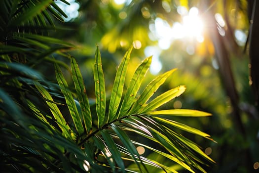 Beautiful summer view of green tropical leaves in sunlight.