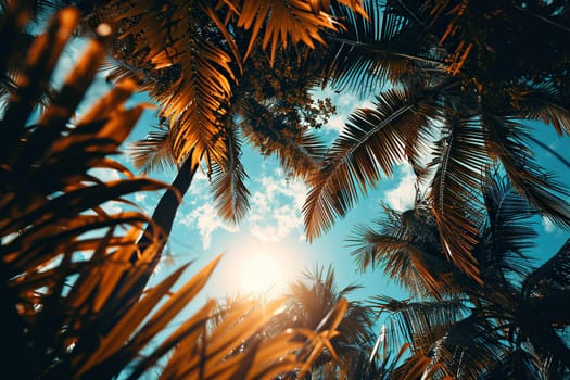 Photo of blue sky through coconut palm leaves. Beautiful tropical background.
