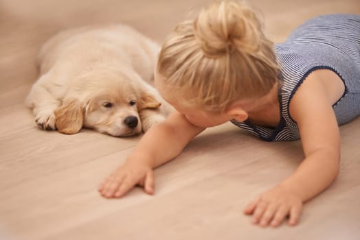 Child, puppy and hug with rest, floor and pet with love at house. Kid, dog and golden retriever or sleepy labrador with sleeping, bonding and sharing together with tired look and animals or pets.