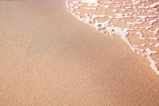 Golden sand, beach, wave on sunny day. Copy space