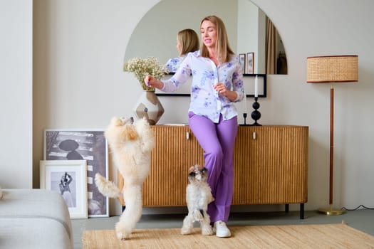 A woman of model appearance plays with dogs, a poodle and a beaver Yorkshire terrier.