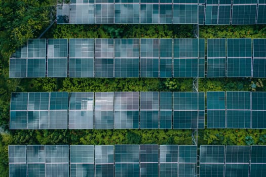 A series of solar panels are shown in a green forest. The panels are old and rusted, but they are still functional. Concept of sustainability and environmental responsibility