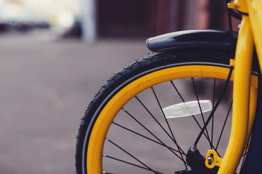 Bicycle wheel close-up. Detail bike. copy space