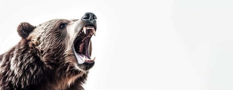 Bear screaming face zoo banner. Animal predator. Generate Ai