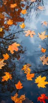 An abstract composition of colorful autumn leaves floating on a reflective water surface of a pond. Neural network generated image. Not based on any actual scene or pattern.