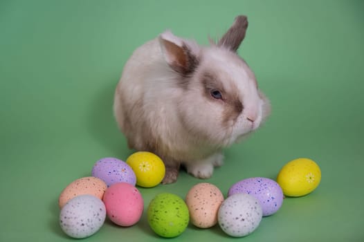 Easter Bunny on a green background with colorful painted eggs