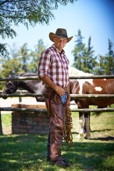 Portrait, cowboy and man at farm with rope in the rural countryside with horses in Texas. Ranch, confidence or serious person in western hat outdoor in casual clothes in nature at stable with animals.