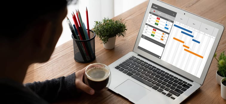 Project planning software for modish business project management on the computer screen showing timeline chart of the team project