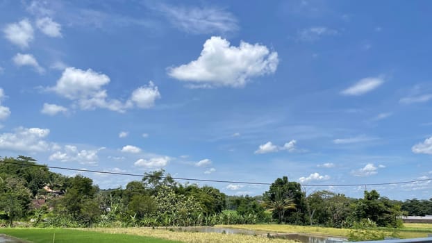 beautiful view of landscape and green view with blue sky and white cloud natural view and green fields