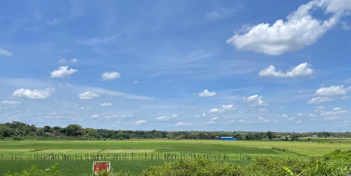 beautiful view of landscape and green view with blue sky and white cloud natural view and green fields