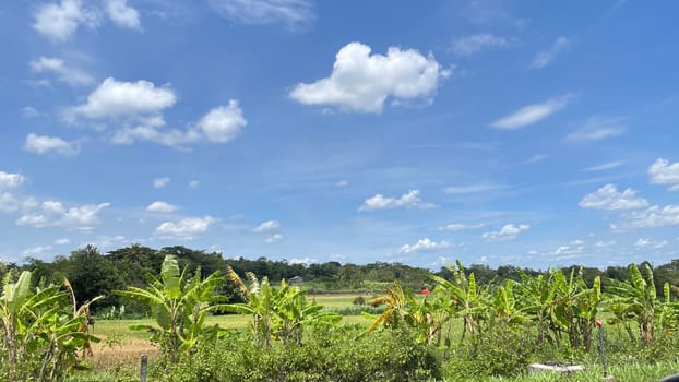 beautiful view of landscape and green view with blue sky and white cloud natural view and green fields