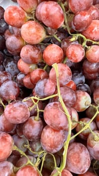Close up of raw organic sweet red grapes background, wine grapes texture, Healthy fruits Red wine grapes background, top view fresh local produce, good for your multimedia content creation