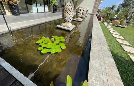 Selective focus of koi fish pond or brocade carp, with lotus plant on the water in modern pond design