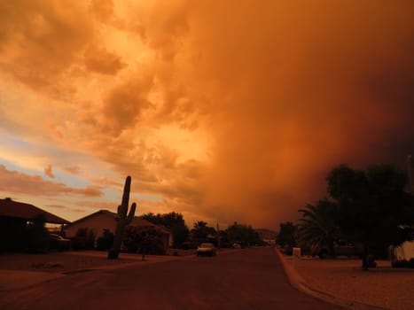 Amazing Summer Haboob Dust Storm in Arizona . High quality photo