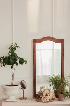 elements of a classic interior decor-plants and a mirror
