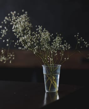 fresh spring flowers on a dark background. soft focus