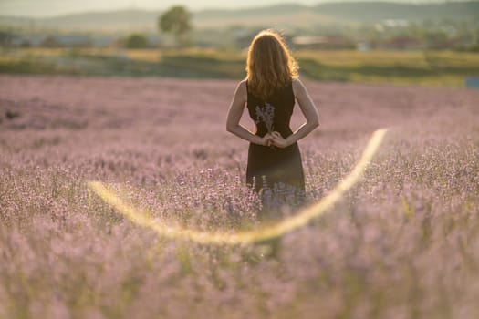 Back view woman lavender sunset. Happy woman in black dress. Aromatherapy concept, lavender oil, photo session in lavender.