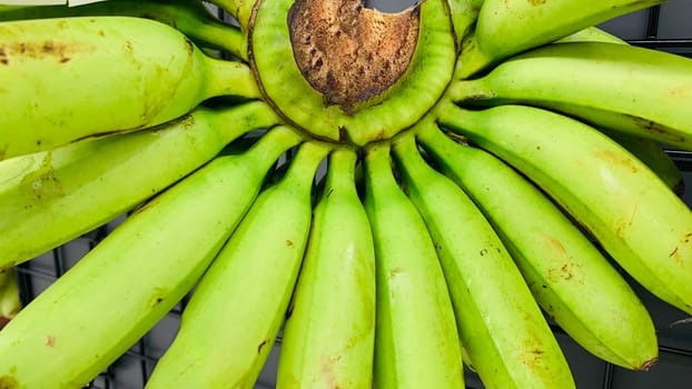 very fresh and ripe delicious banana cluster or banana hand or a bunch of bananas fruit healthy diet supermarket product