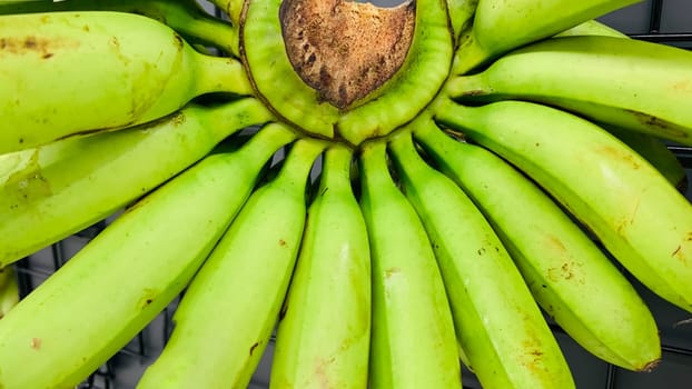 very fresh and ripe delicious banana cluster or banana hand or a bunch of bananas fruit healthy diet supermarket product