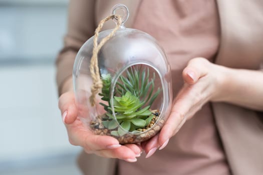 Woman holding glass jar with plant composition inside, closeup. High quality photo