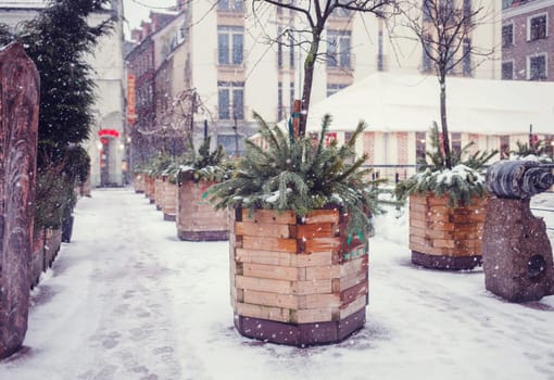 Christmas decoration of the city. spruce on the streets of Riga