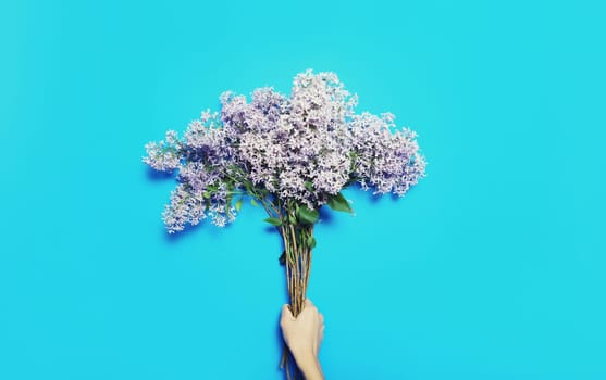 Female hand holding bouquet of spring fresh lilac flowers, wildflowers on blue background