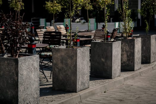 a row of potted trees are planted along the outdoor cafe