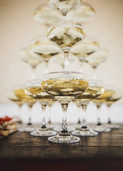 Many glasses of different wines in a row on the buffet