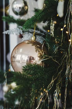 Shiny christmas ball hanging on pine branches 