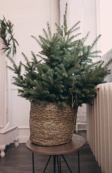 Little Christmas tree in a classic interior