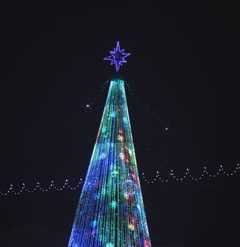 glowing Christmas tree in a European city
