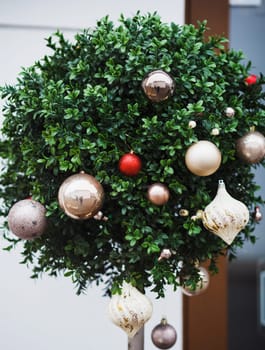 Christmas composition-decorated tree with hanging balls