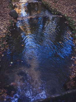 a blue stream of water flows in the autumn forest