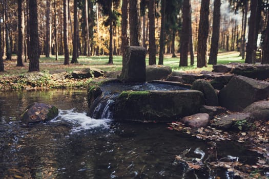 the source of the river begins in the autumn forest