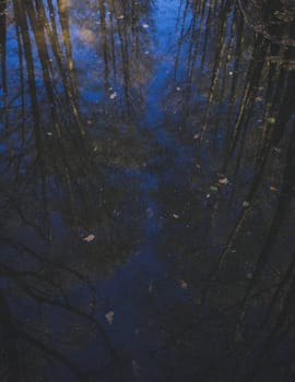 autumn landscape. the trees are reflected in the blue water