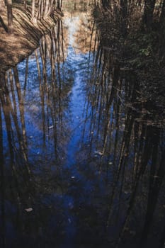 blue river with reflected trees in autumn forest